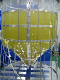 植物細胞の低コスト培養を可能にするシングルユースバッグを開発 ―多様な植物由来機能性物質の高効率生産を実現へ―の概要写真