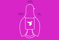 イギリスでハトが大気汚染をツイート、欧州で最も高い大気汚染の改善への写真