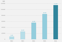 100%電気の力で走る自動車のみ販売できる法案、オランダで可決可能性の写真
