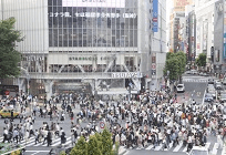 お得感を引き出すマーケティング①～電力のセット販売は有効？～の写真