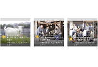 新電力で地域活性化、電気を使うだけでお気に入りの発電所を応援できるサービスの写真