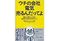 ウチの会社 電気売るんだってよ 電力小売ビジネスを始めるための10のポイントの写真