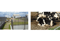 中国電力、「石炭灰」製品を販売拡大するため体制強化、緑化基盤材や土壌改良材などに活用の写真