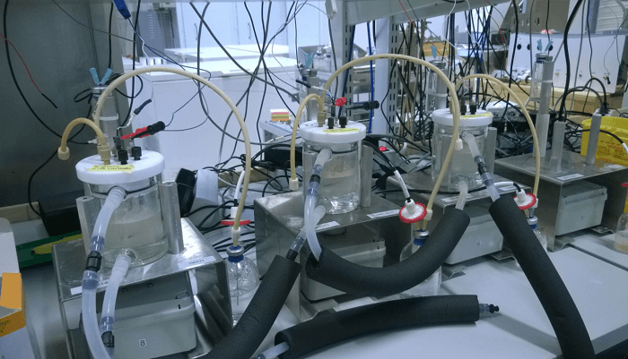 電気から食品を作るプロセス