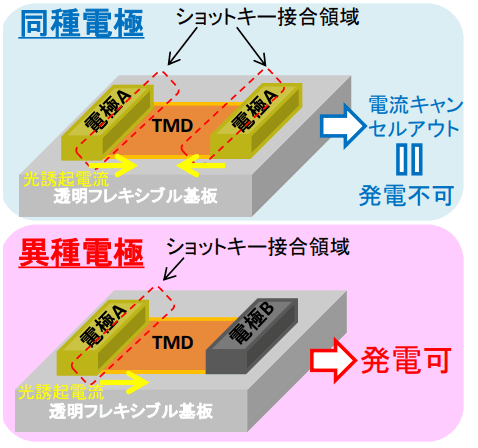 同種電極と異種電極の概略図と特徴