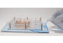 水の「蒸発」を利用する新しい再エネ発電、米コロンビア大学発表の写真