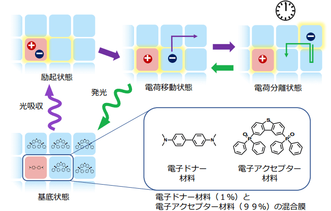 有機蓄光の発光メカニズム