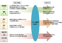 バイオマス発電、FITなければ単体での事業は困難、地域社会への効果に着目する必要の写真
