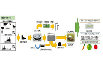 国家戦略特区「養父市」でメタン発酵発電、最新鋭トマトハウス併設でブランド確立を目指すの写真