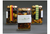 日本初の住民主体による地熱発電、熊本地震からの復活、資金をクラウドファンディングで調達の写真