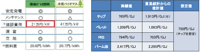 バイオマス発電の費用構造