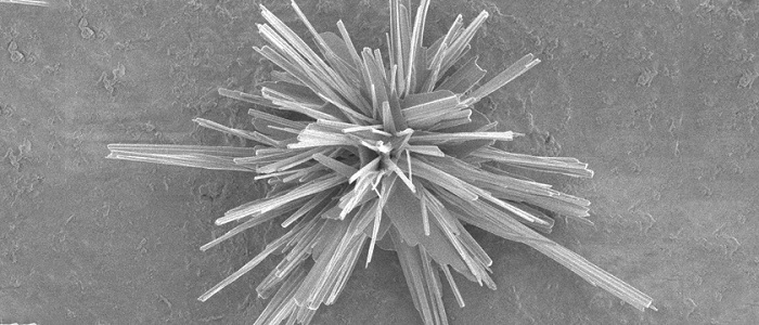 CO2をエチレンに変換するナノ構造銅触媒の表面