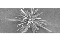 CO2をプラスチックに変換する新しい銅触媒の開発、トロント大学発表の写真