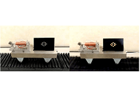 振動発電の新素材開発で20倍以上の出力、身のまわりやEVの振動を電気に変換の写真