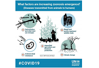 新型コロナウイルスによる転換期、グリーンリカバリーの写真