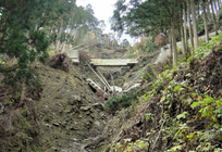 自然災害増加の中、保険業界が支援する持続可能な再生可能エネルギー事業の写真